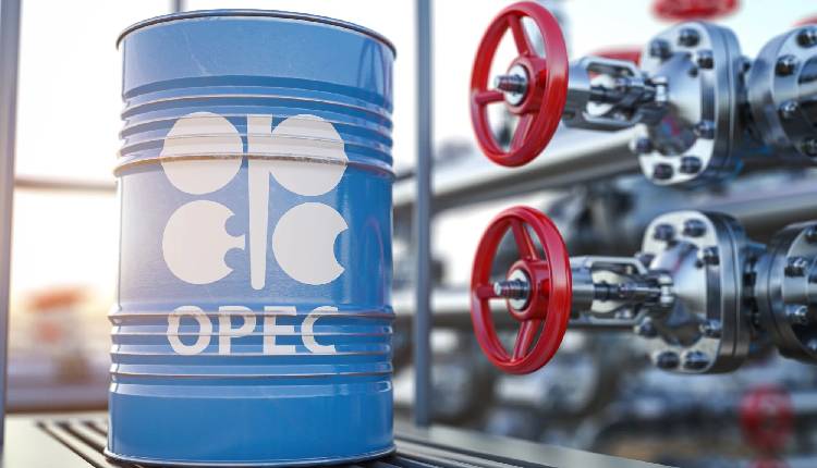 OPEC+ seen prolonging oil cuts in 2024 and into 2025