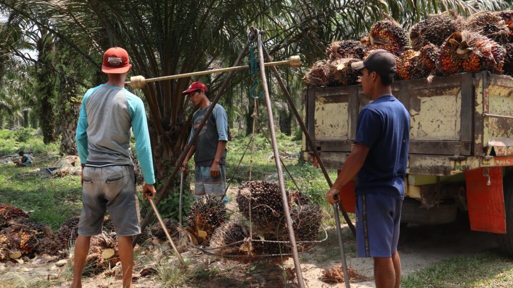 High palm oil prices send MP Evans’ profits up