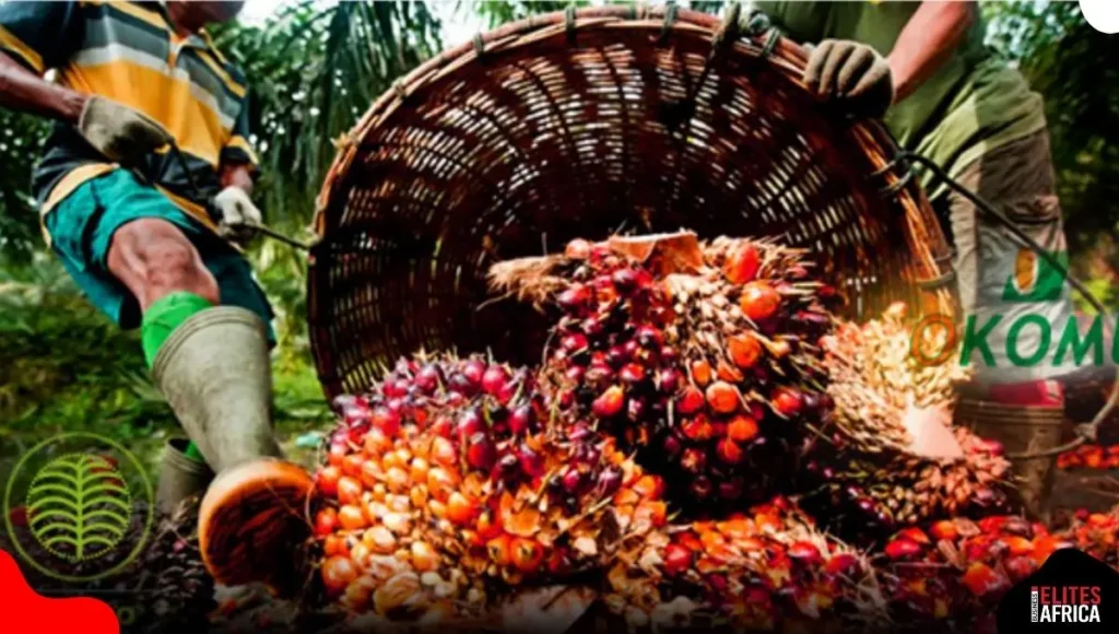 Presco vs Okomu Oil: Who Made More Profit in H1 2025?