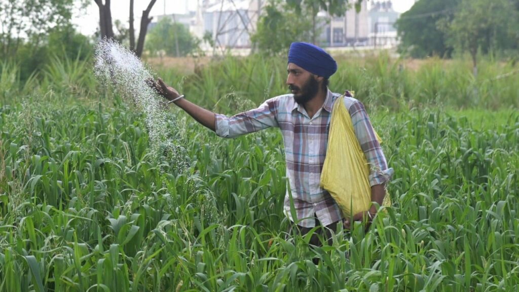 Asian economies face ‘formidable test’ as Middle East conflict drags on: ADB